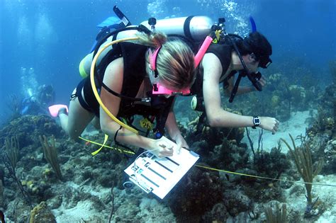 marine biology